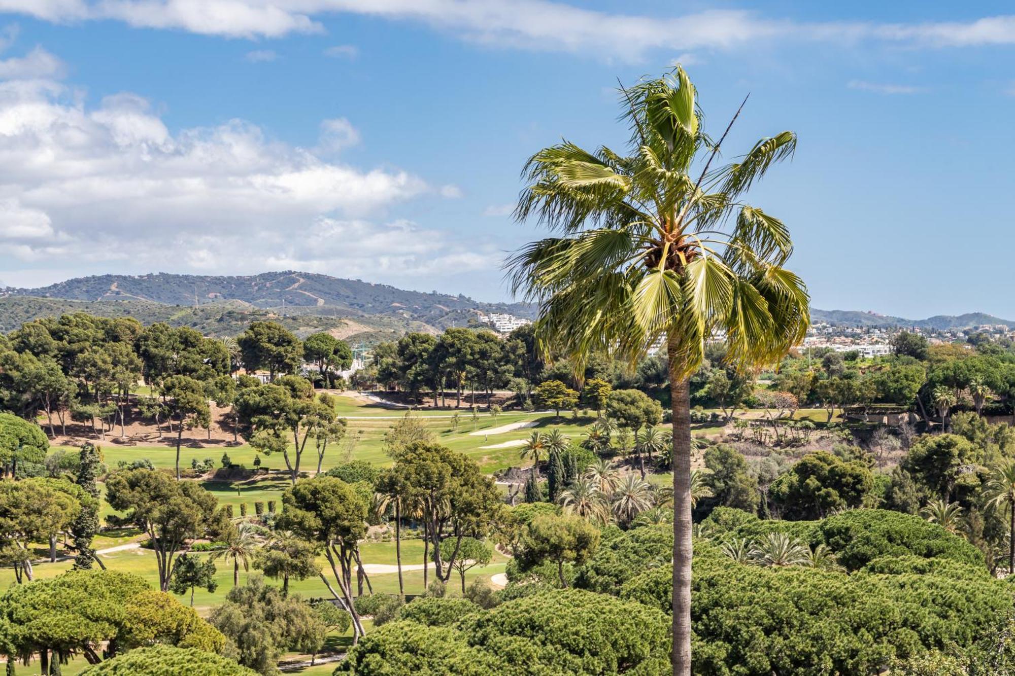 Aurora Boutique House - Only Adults Bed & Breakfast Marbella Exterior foto